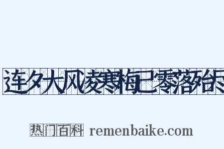 连夕大风凌寒梅已零落殆尽是什么意思的图片